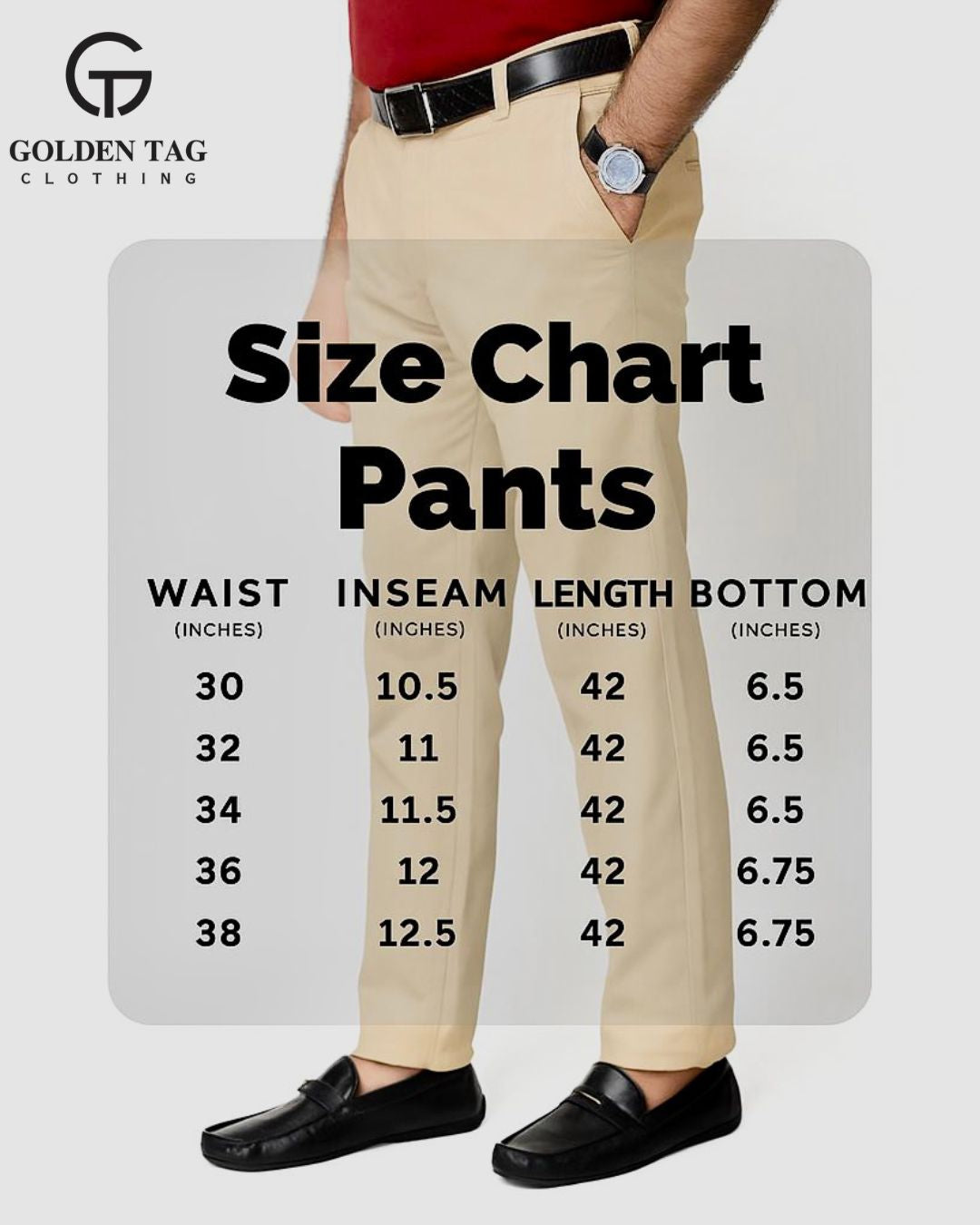 Navy Blue Cotton Pant-Smart Fit